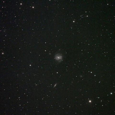 おとめ座銀河団 M100