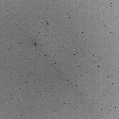 パンスターズ彗星C/2011L4　2013．05.25