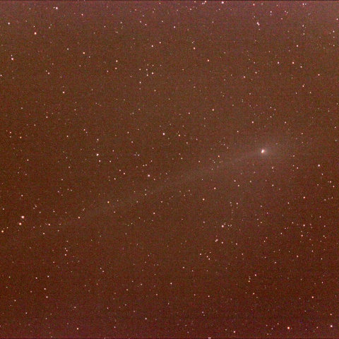 パンスターズ彗星C/2011L4　2013．05.29