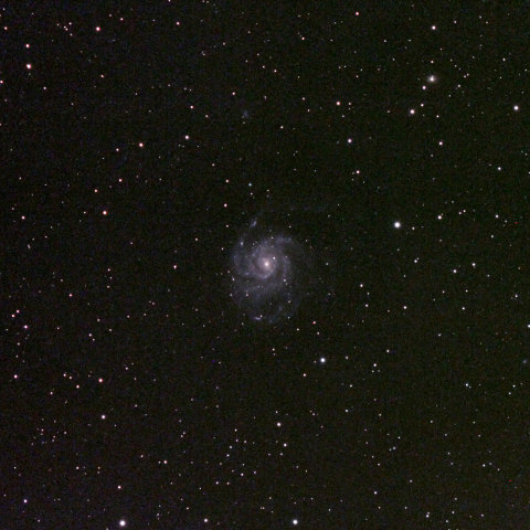 M101
