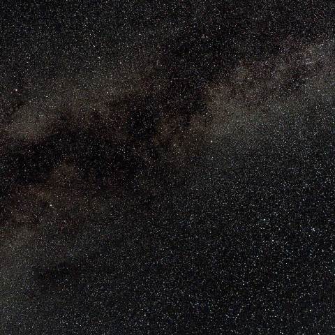 織姫さまと彦星さんの七夕デート