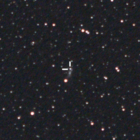 とかげ座の超新星2013dy