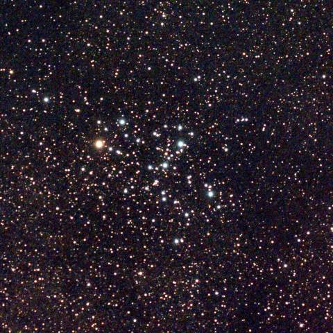 M6バタフライクラスター