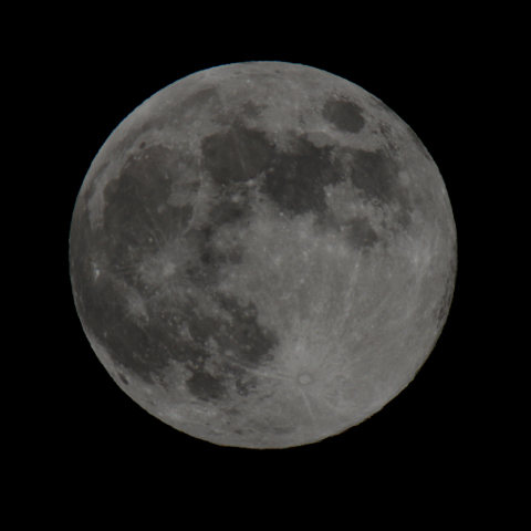 餅つき兎の名月