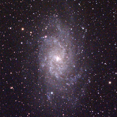 M33