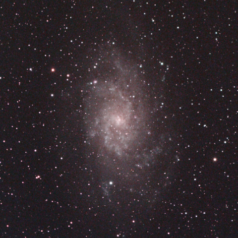 M33