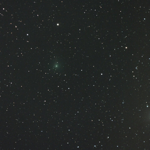 ラブジョイ彗星とプロキオン2013.10.26