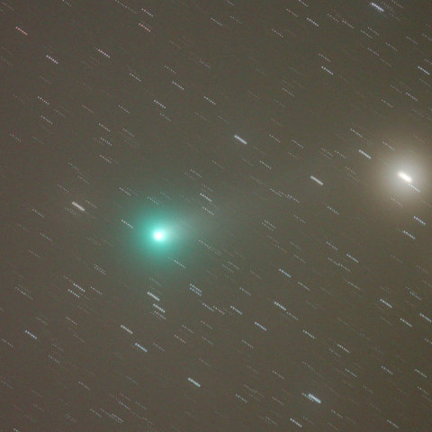 ラヴジョイ彗星2013.11.12