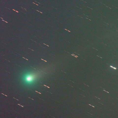 ラヴジョイ彗星2013.11.17