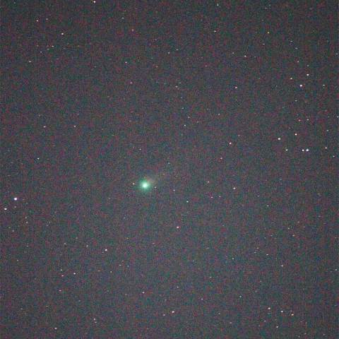 ラヴジョイ彗星2013.11.19