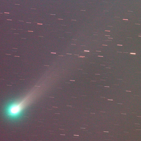 ラヴジョイ彗星2013.11.24