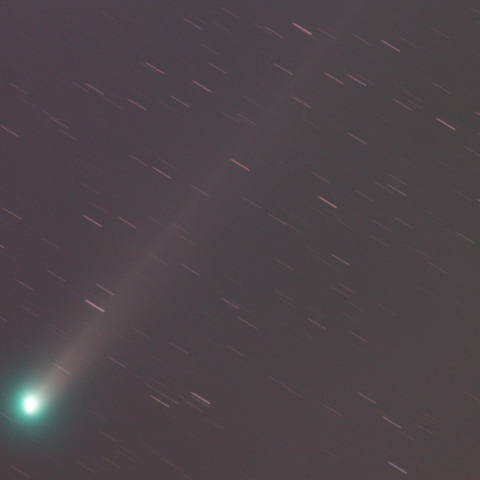 ラヴジョイ彗星2013.11.27