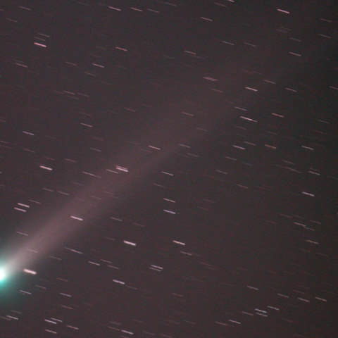 ラヴジョイ彗星2013.11.29