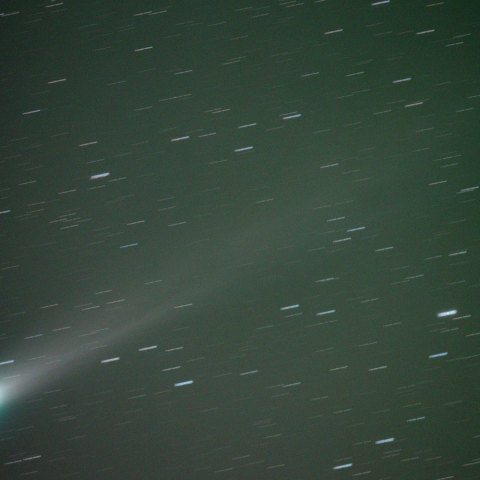 12月5日のラブジョイ