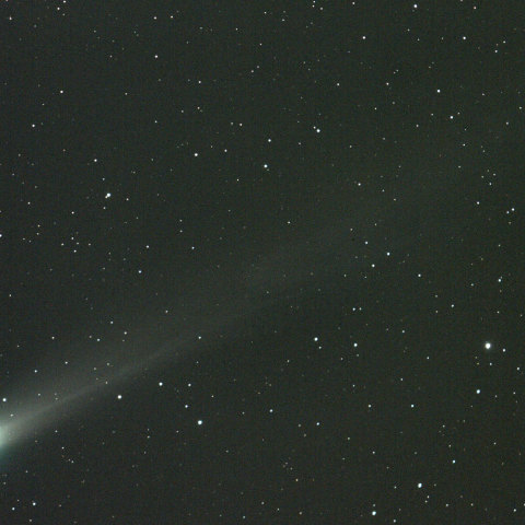 12月5日のラブジョイその２