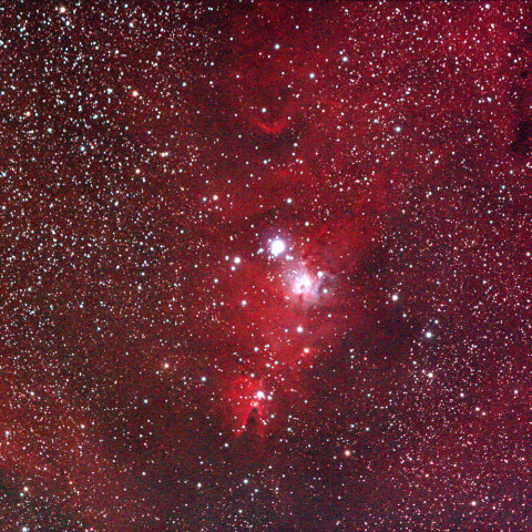 NGC2264