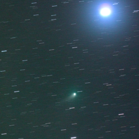 パンスターズ彗星とアルカイド