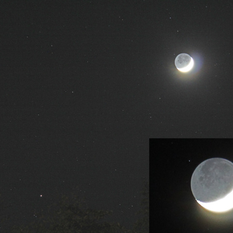 月と火星と星食