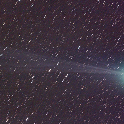 1月24日のラヴジョイ彗星