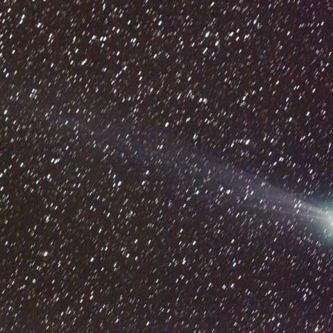 ２月８日のラヴジョイ彗星