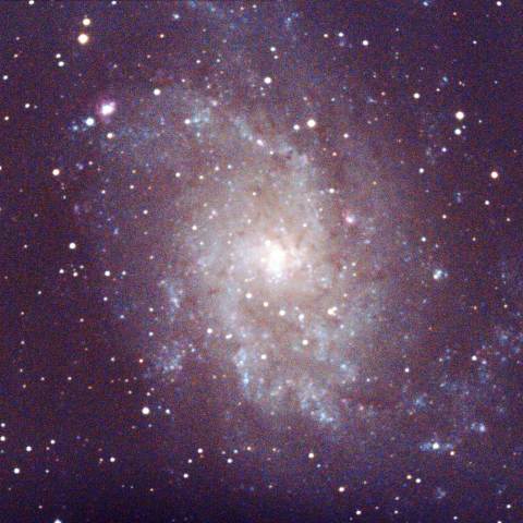 M33