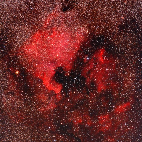 北アメリカ星雲とペリカン星雲