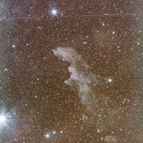 魔女の横顔星雲