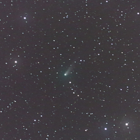 ジョンソン彗星2月24日