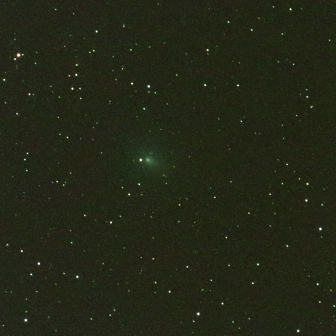 アサシン彗星9月2日