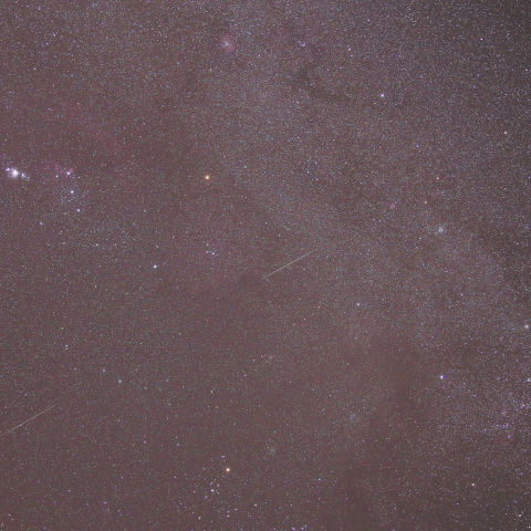 オリオン座付近のふたご座流星群
