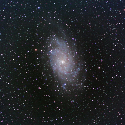M33
