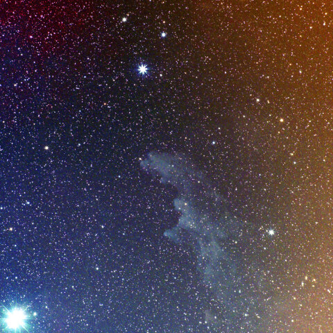 魔女の横顔星雲