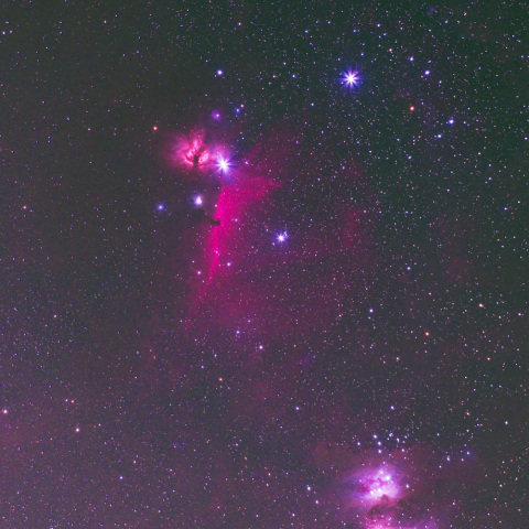 馬頭星雲付近のオリオン座―フラット画像再処理