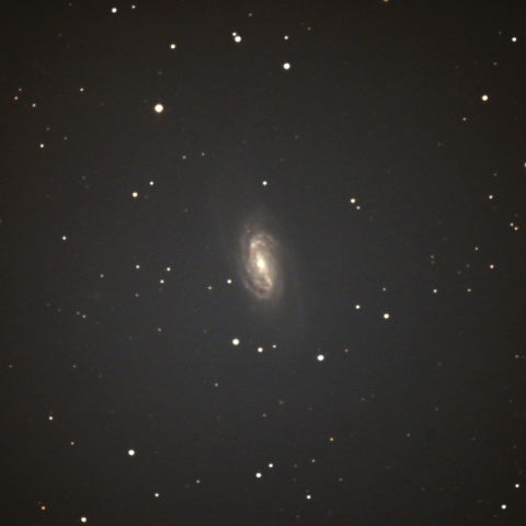 NGC2903