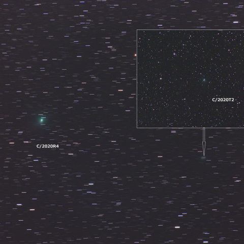 アトラス彗星とパロマ―彗星