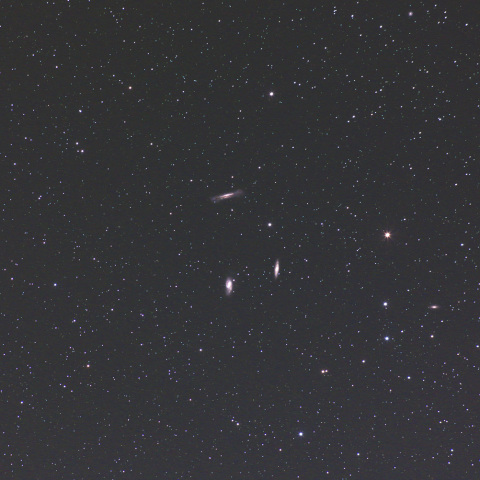 Leo Triplet