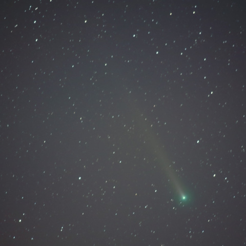 レナード彗星12月8日