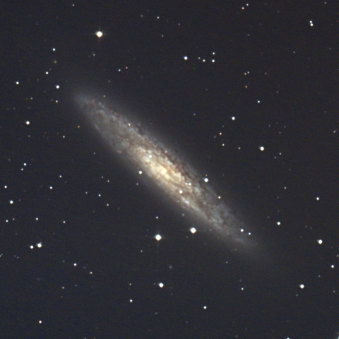 NGC253