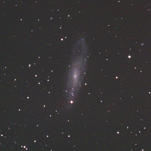 NGC247