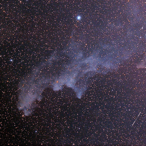 魔女の横顔星雲