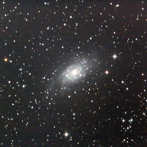 NGC2403
