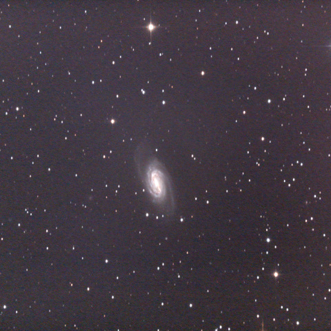 NGC2903