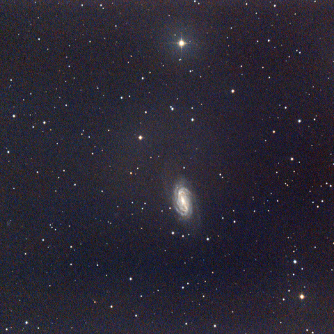 NGC2903
