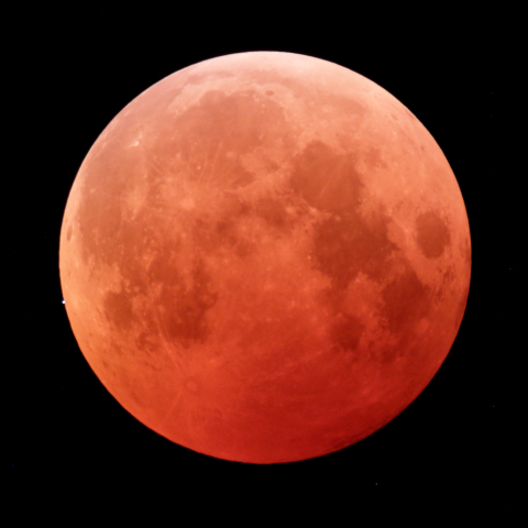 皆既月食中の天王星食