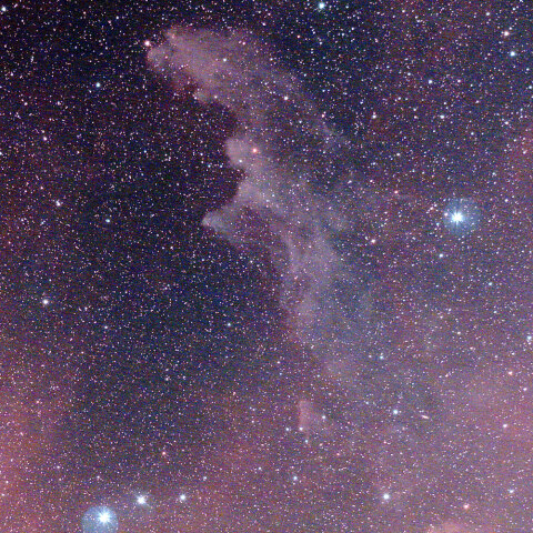 魔女の横顔星雲