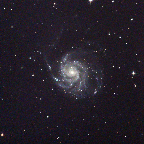 M101の超新星2023ixf