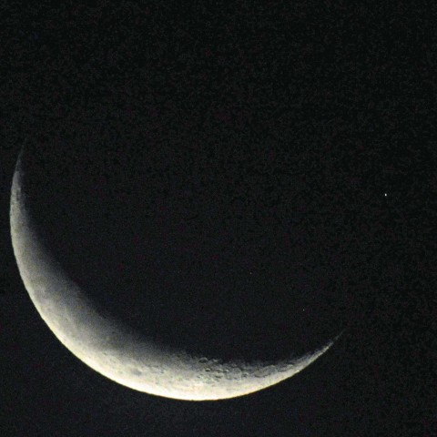 金星食（出現）