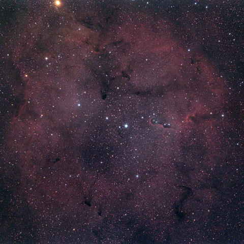 ケフェウス座のIC1396