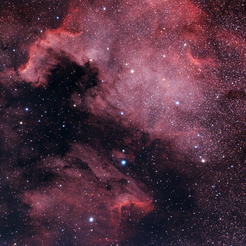 北アメリカ星雲とペリカン星雲