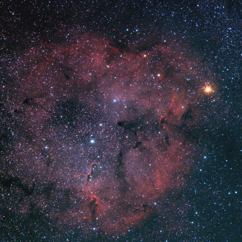 ケフェウス座のIC1396